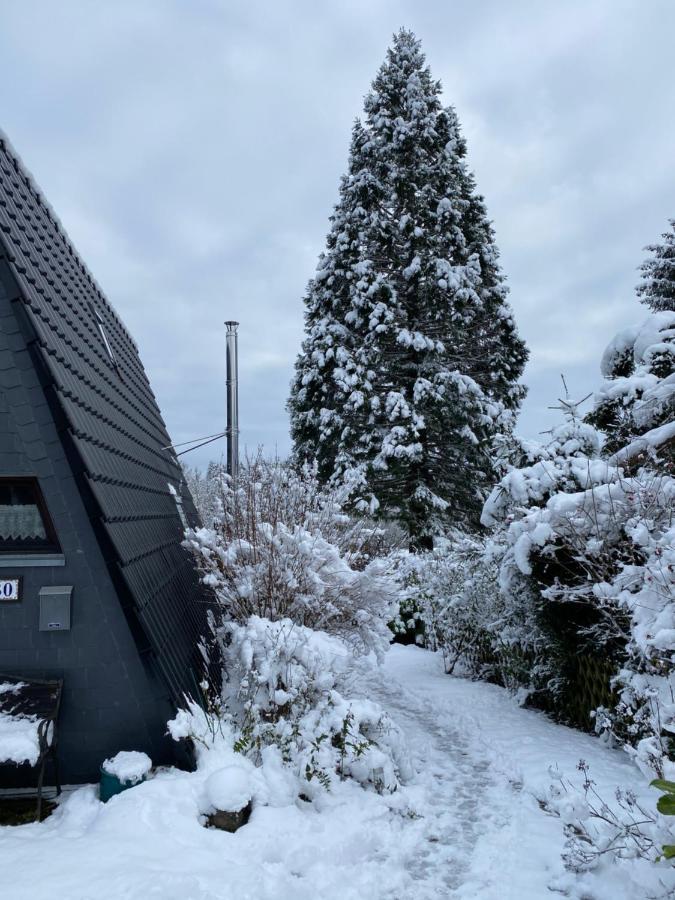 Ferienhaus Im Feriendorf Freilingen Freilingen  Екстер'єр фото